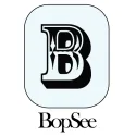 Logo of BopSee Books