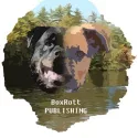 Logo of Boxrott Publishing