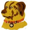 Logo of Buster + Norah Press