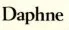 Logo of Daphne