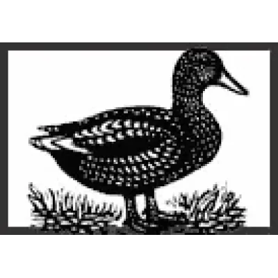 Duckworth