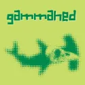Logo of gammahed
