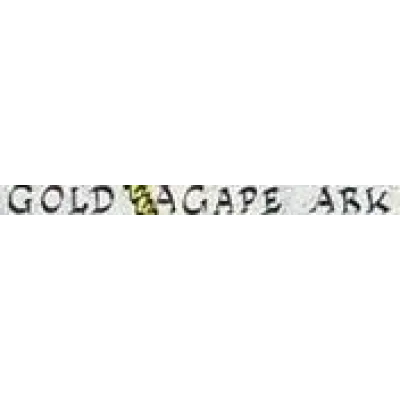 Gold Agape Ark