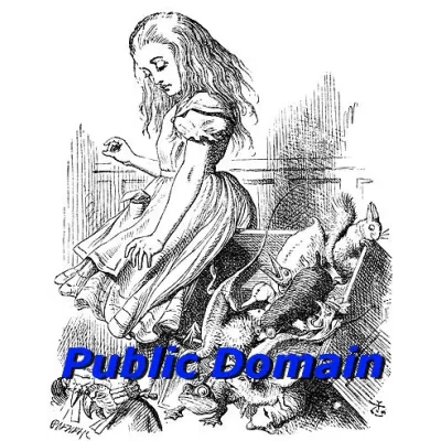 In the Public Domain