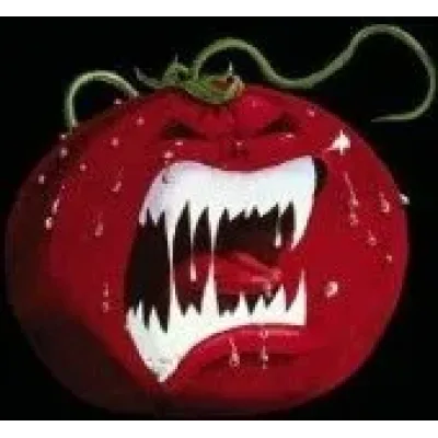Killer Tomato Entertainment