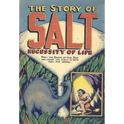 Leslie Salt Company