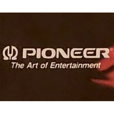 Pioneer Entertainment (USA), L.P.