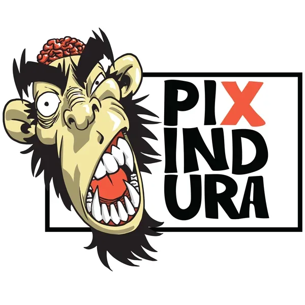 Logo of Pixindura