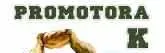 Logo of Promotora K