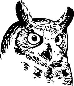 Logo of Smart Owl