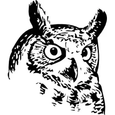 Smart Owl