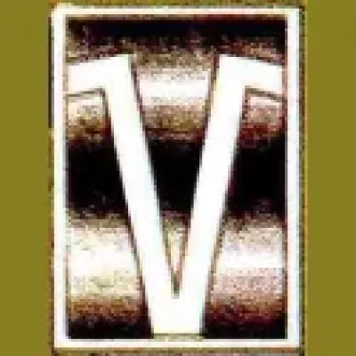 Valhalla Comics Group