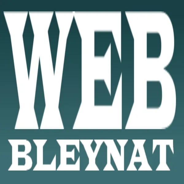 Logo of Web Bleynat