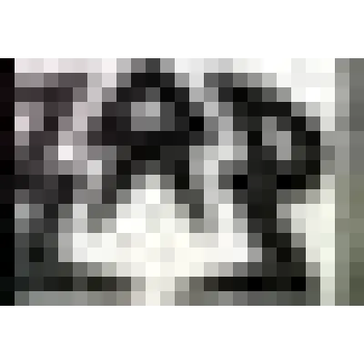 Zap