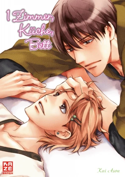 1 Zimmer, Küche, Bett (2017) - Series 