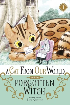 A Cat from Our World and the Forgotten Witch