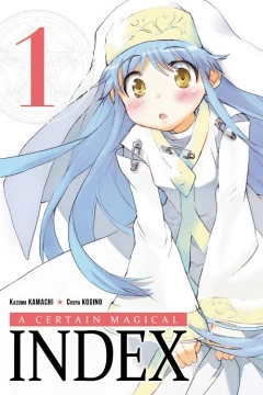 A Certain Magical Index