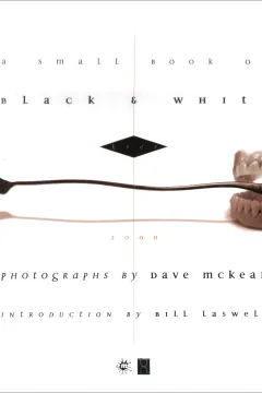 A Small Book of Black & White Lies