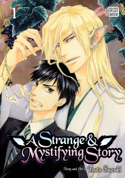 A Strange & Mystifying Story (2017) - Series 