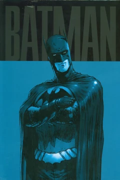 Absolute Batman & Robin: Batman Reborn