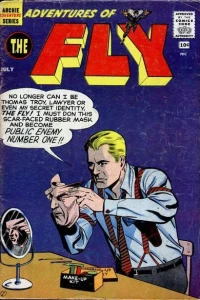 Adventures of the Fly