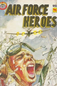 Air Force Heroes