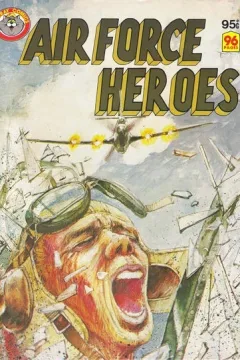 Air Force Heroes