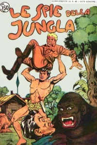 Akim Gigante II Serie