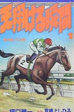 Amakakeru Toki