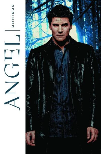 Angel: Omnibus (2008) - Series 