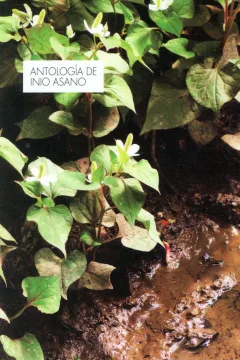 Antología de Inio Asano