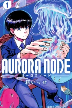 Aurora Node