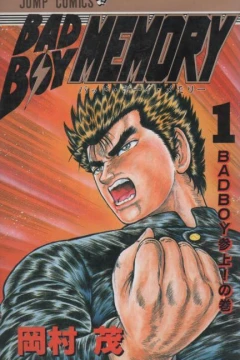 Bad Boy Memory