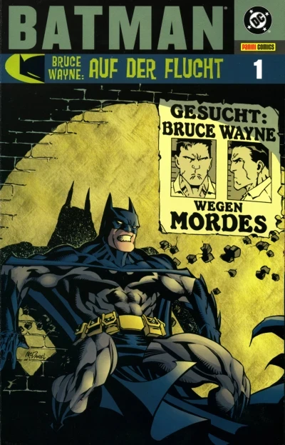 Batman: Bruce Wayne - Auf der Flucht (2003) - Series 