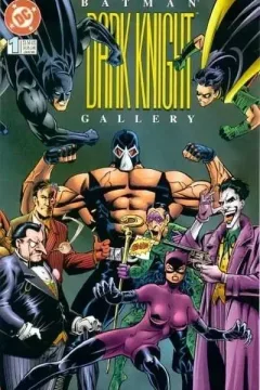 Batman: Dark Knight Gallery