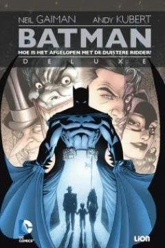 Batman - Hoe is het afgelopen met de duistere ridder?