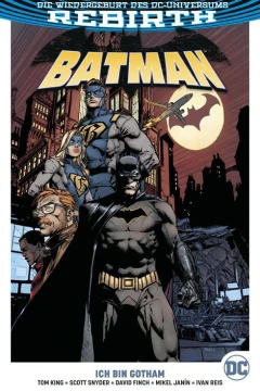 Batman: Ich Bin Gotham