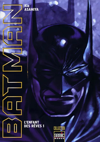 Batman: L'Enfant des Rêves (2001) - Series 