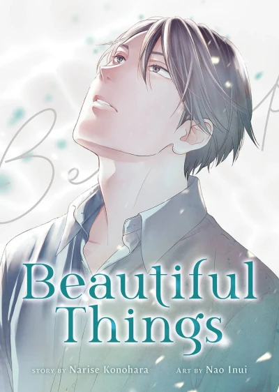 Beautiful Things: The Complete Manga Collection (2024) - Series 