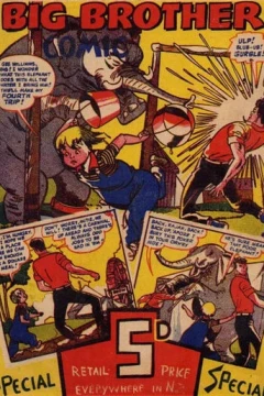 Big Brother Comics
