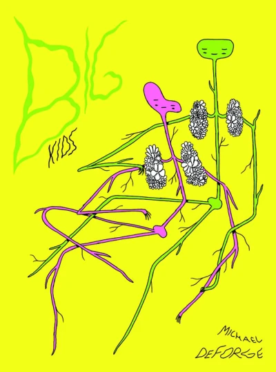 Big Kids (Hardcover, 2016) - Series 
