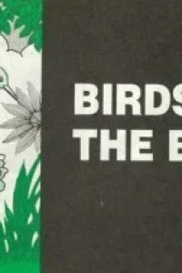Birds and the Bees