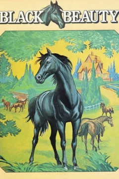 Black Beauty