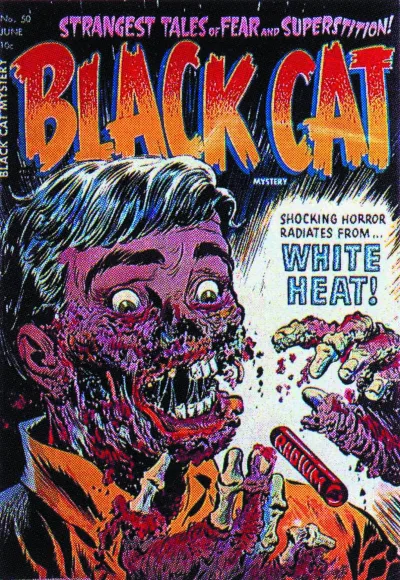 Black Cat Mystery (2015) - Series 