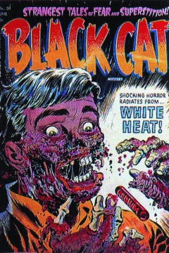 Black Cat Mystery
