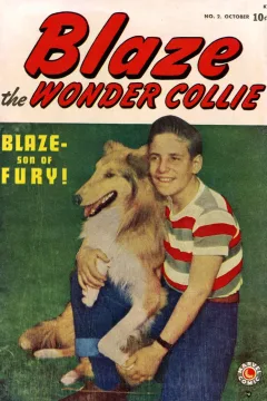 Blaze the Wonder Collie