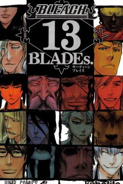 Bleach 13 BLADEs.