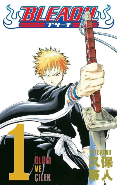 Bleach - Series 