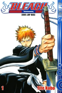 Bleach