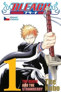 Bleach